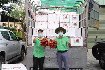 Tiến Nông tiếp tục lan toả tinh thần sẻ chia, đồng hành cùng nông dân Bắc Giang tiêu thụ vải thiều