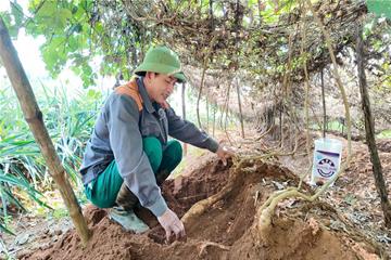 Hành trình đồng hành cùng công ty Tiến Nông - làm giàu trên mảnh đất quê hương