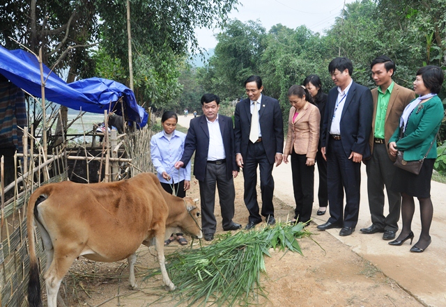 Tiến Nông hỗ trợ phân bón cho nông dân nghèo