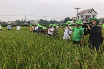 Chương trình Hội thảo đầu bờ mô hình trồng lúa sử dụng đồng bộ sản phẩm phân bón Tiến Nông tại Thái Nguyên